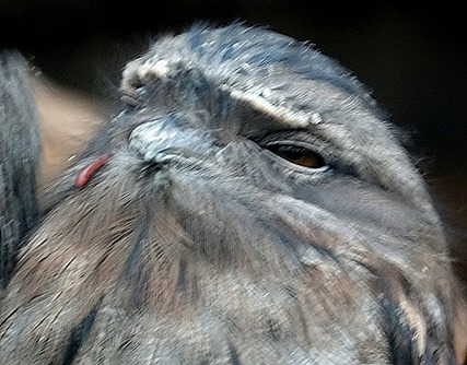 192. Hobart, Tasmania