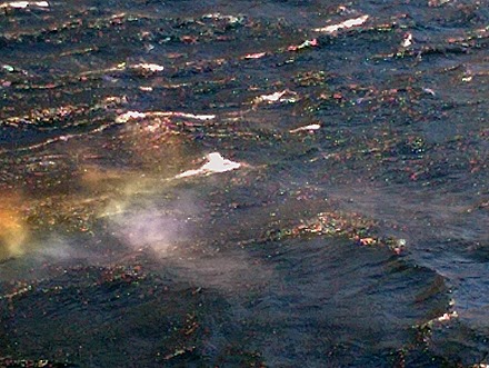 196. Fjordland National Park, New Zealand