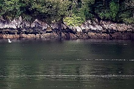 2. Fjordland National Park, New Zealand