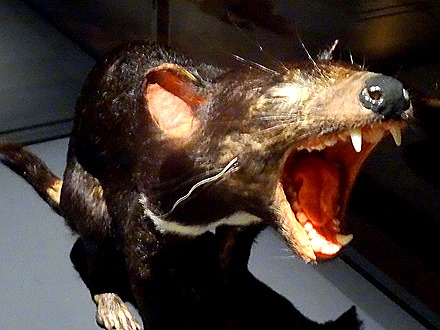 28. Hobart, Tasmania