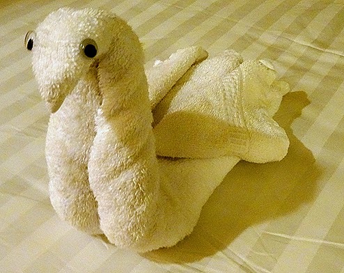 3. Dunedin, New Zealand