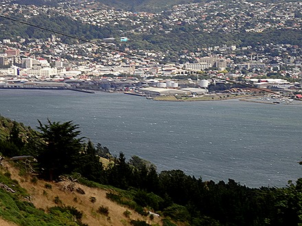 46. Dunedin, New Zealand
