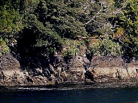 46. Fjordland National Park, New Zealand