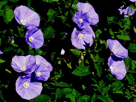 48. Napier, New Zealand