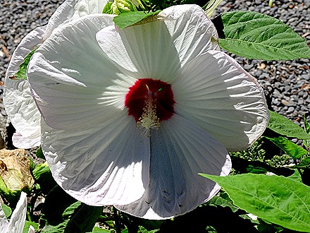 49. Napier, New Zealand