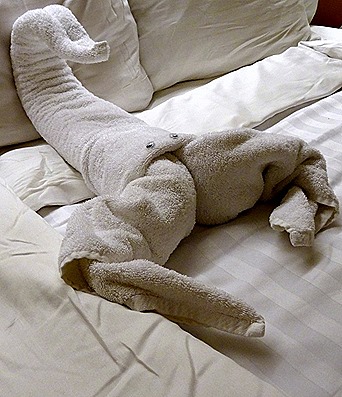 5. Dunedin, New Zealand