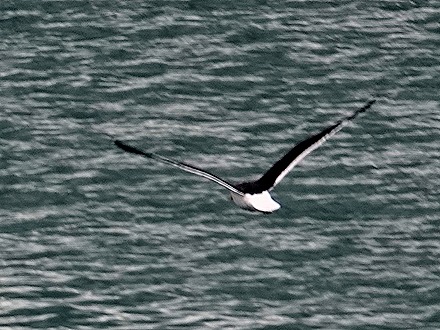 5. Tauranga (Rotarua), New Zealand