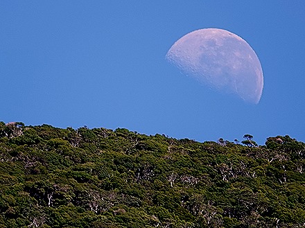 51. Fjordland National Park, New Zealand