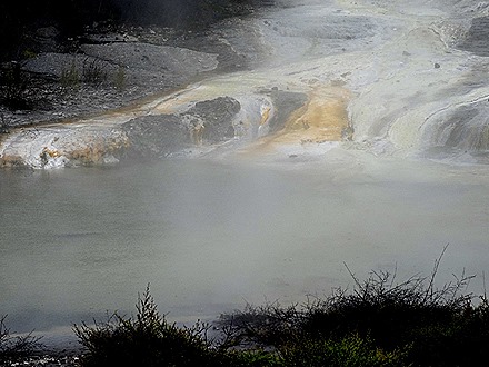 60. Tauranga (Rotarua), New Zealand