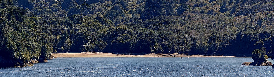 62a. Fjordland National Park, New Zealand_stitch