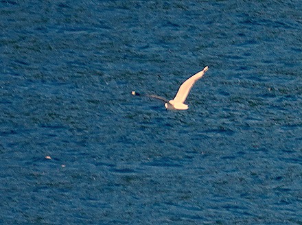 79. Fjordland National Park, New Zealand