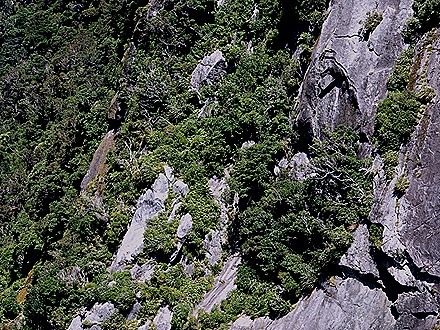92. Fjordland National Park, New Zealand