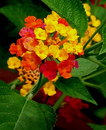 100. Puerto Princesa, Philippines