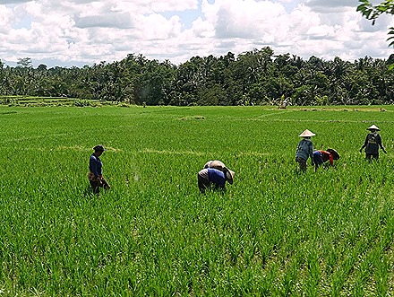 101. Benoa, Bali, Day 1