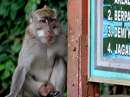 111. Benoa, Bali, Day 1