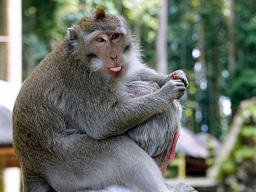 116. Benoa, Bali, Day 1