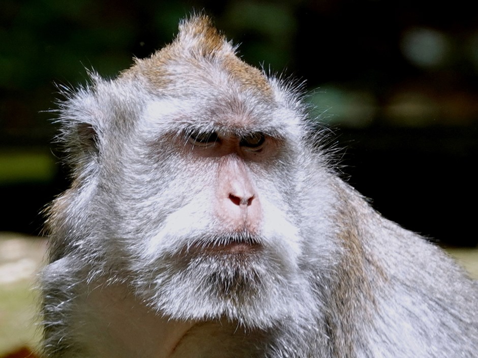 124a. Benoa, Bali, Day 1