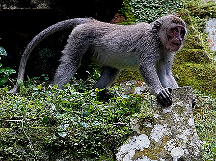 129. Benoa, Bali, Day 1