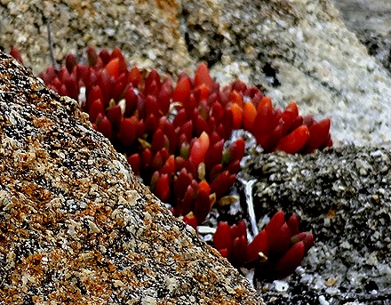 13. Albany, Australia