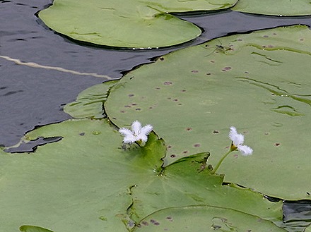 13. Benoa, Bali, Day 1