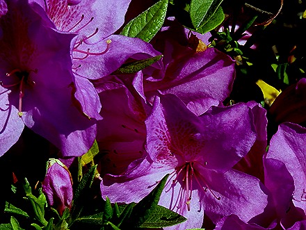 13. Hong Kong, China (Day 2)