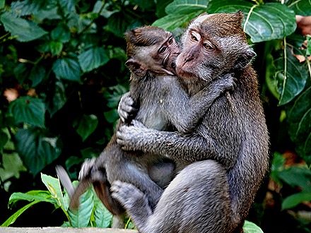 134. Benoa, Bali, Day 1