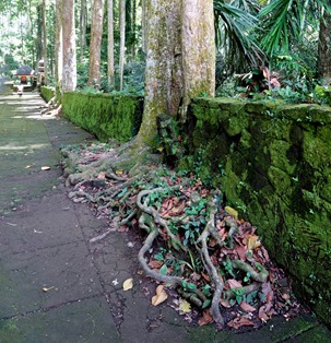 138a. Benoa, Bali, Day 1_stitch