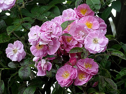 14. Benoa, Bali, Day 1