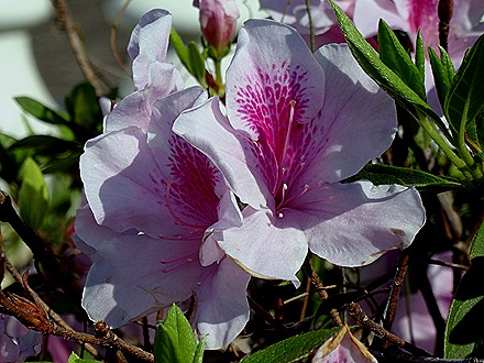 14. Hong Kong, China (Day 2)