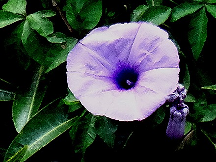 14. Manila, Philippines (Day 2)