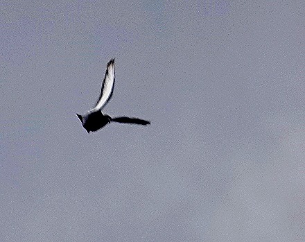 149. Albany, Australia