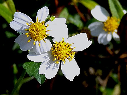 15. Hong Kong, China (Day 2)