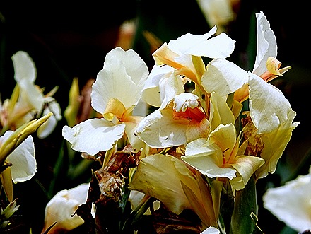 158. Benoa, Bali, Day 1