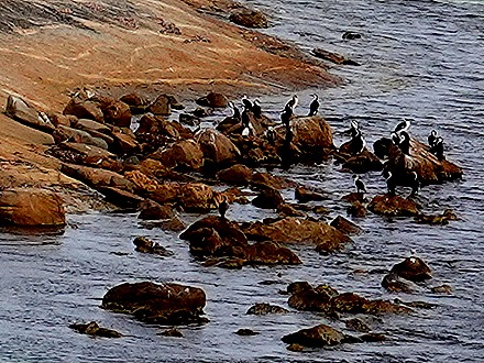 164. Albany, Australia