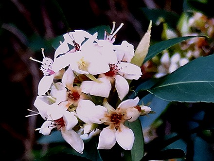 17. Hong Kong, China (Day 2)