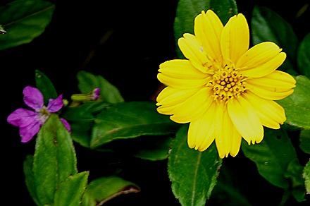 172. Benoa, Bali, Day 1