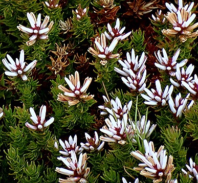 18. Albany, Australia