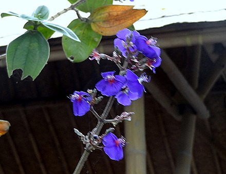 18. Benoa, Bali, Day 1