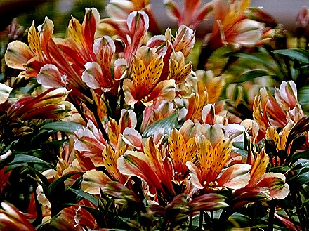 188. Benoa, Bali, Day 1