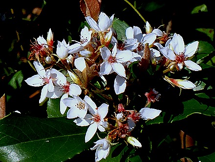 2. Hong Kong, China (Day 2)