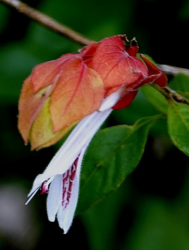 200. Benoa, Bali, Day 1