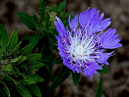 201. Benoa, Bali, Day 1