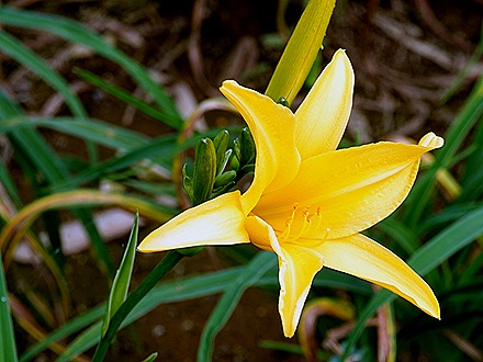 206. Benoa, Bali, Day 1