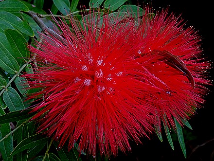 21. Hong Kong, China (Day 1)