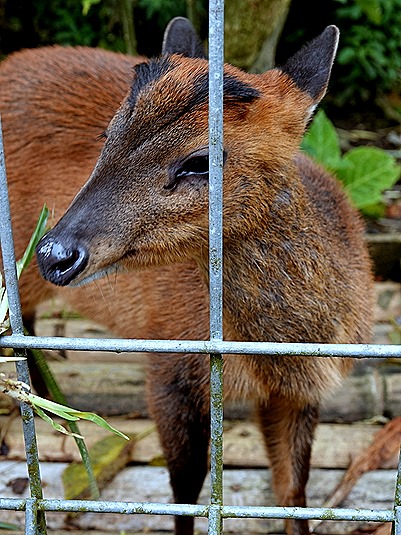 212. Benoa, Bali, Day 1