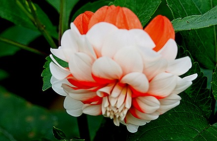 229. Benoa, Bali, Day 1