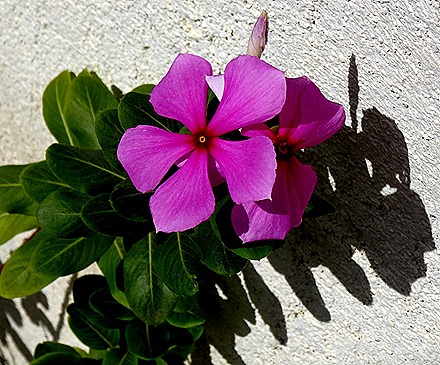 23. Puerto Princesa, Philippines