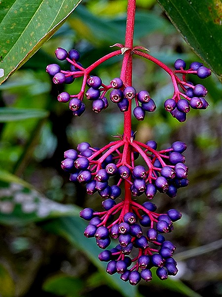 230. Benoa, Bali, Day 1