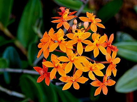 232. Benoa, Bali, Day 1