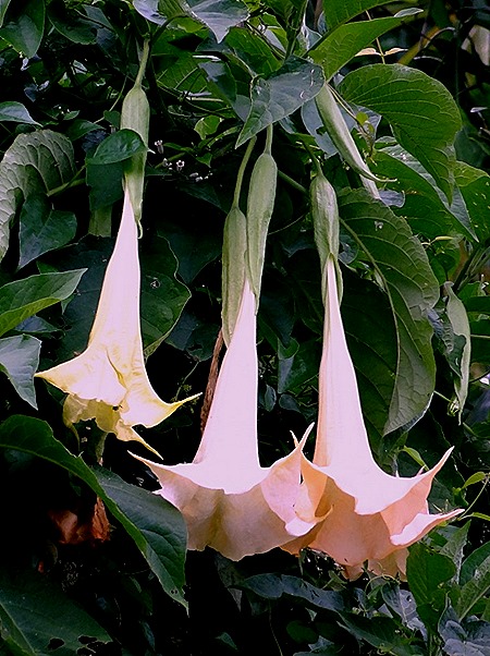 24. Benoa, Bali, Day 1